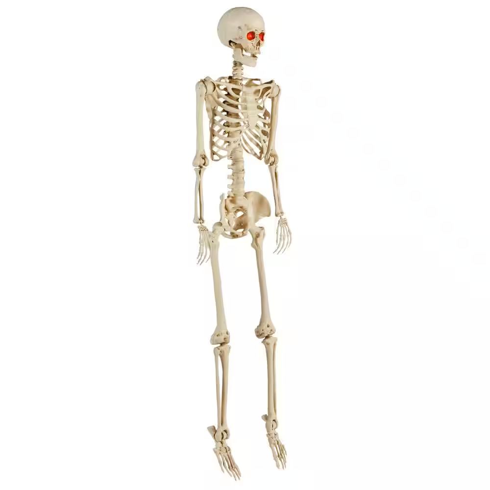 Wario64's tweet image. 5 ft. LED Pose-N-Stay Skeleton is $17.98 at Home Depot buff.ly/jgWxDIE #ad