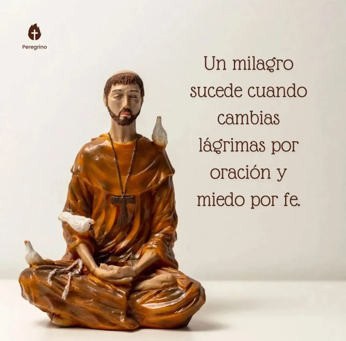 San Francisco de Asis (@frasescatolic00) on Twitter photo 