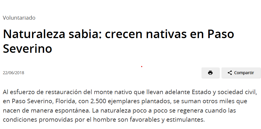 La propuesta de Ortuño de reforestar es trasnochada , la represa  Pso Severino fue construida entre los años 1983 y 2001 y no se ha recompuesto la cicatriz .Recién en 2016 se comenzó tímidamente a reconstruir el Bosque Nativo lo cual dudo se llegue con éxito