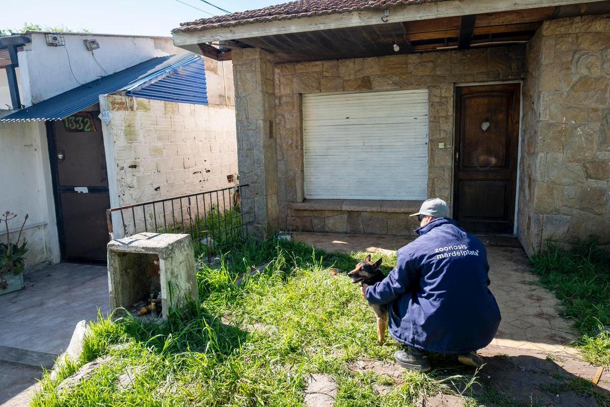 El municipio retiró ocho animales de una vivienda usurpada
loquepasa.net/el-municipio-r…