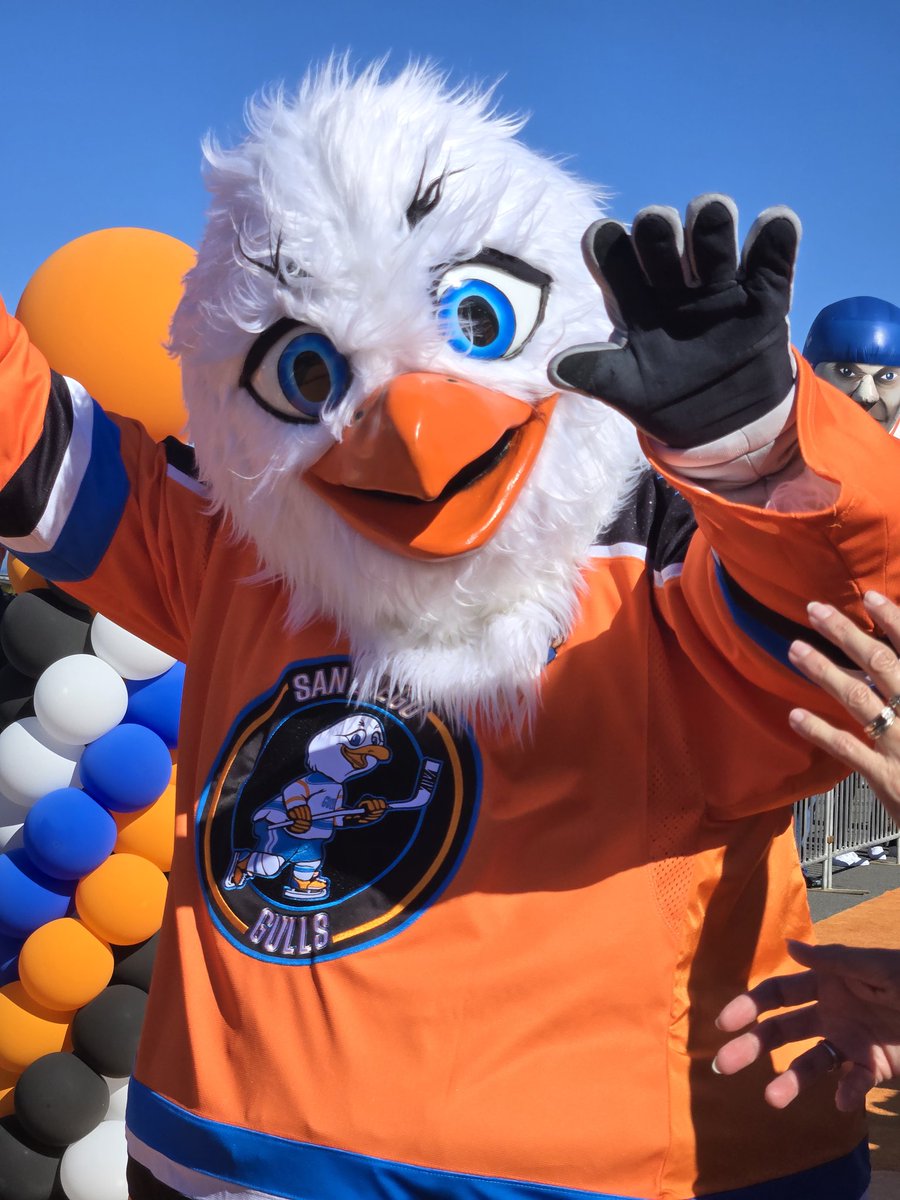 Sandy on the orange carpet! #LetsGoGulls <a href="/SDGullsAHL/">San Diego Gulls</a>