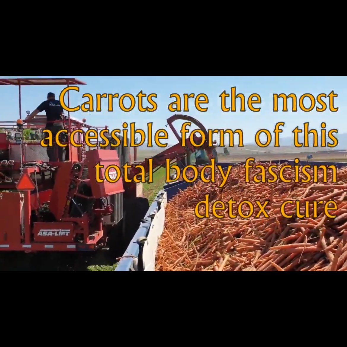 SheriffPosts's tweet image. Fascism detox cures over here!