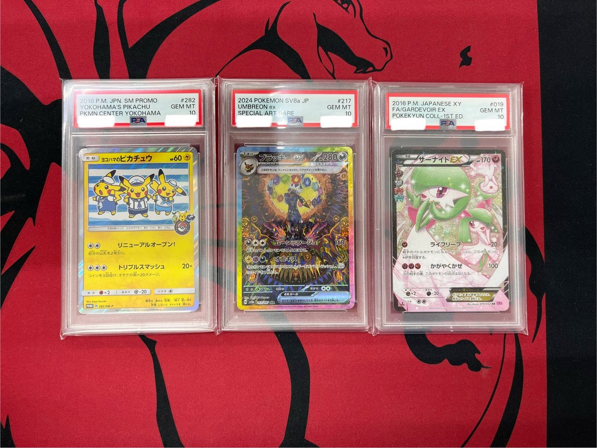 ✨【入荷情報】✨ ヨコハマのピカチュウ: プロモ[SM-P 282] ブラッキー