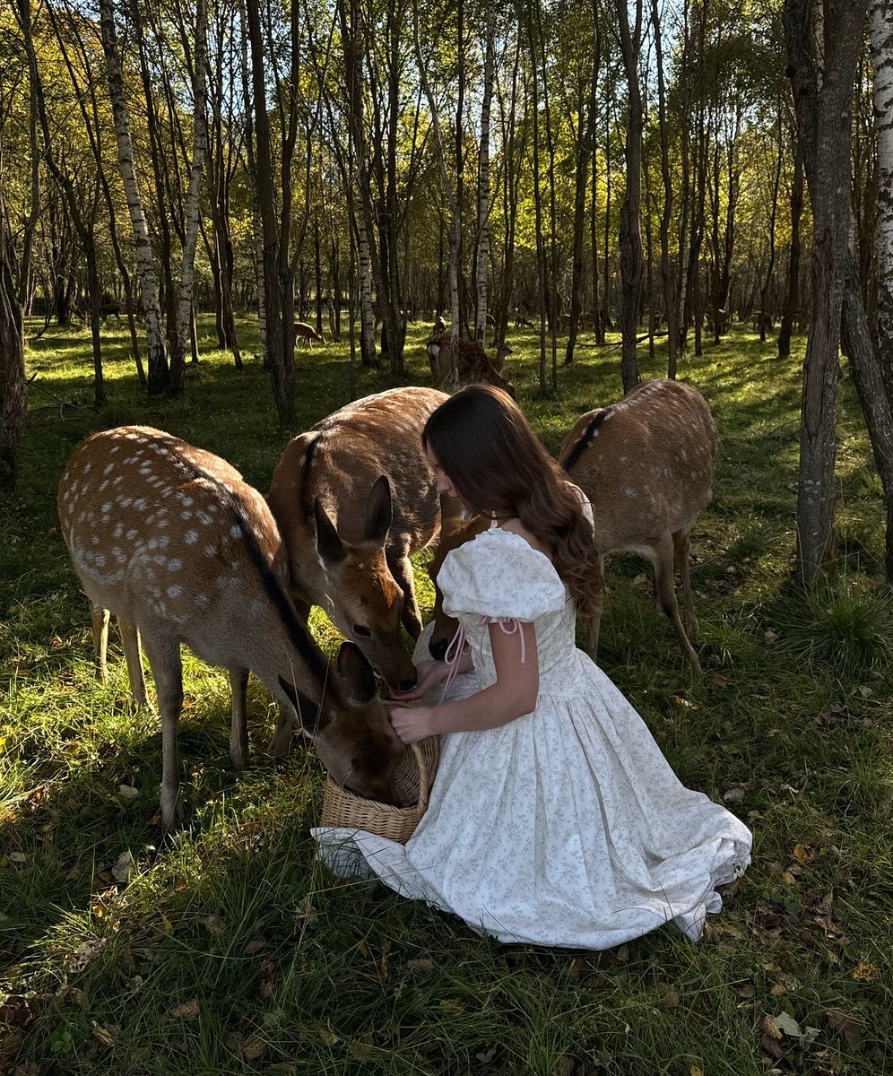 fawns's tweet image. born to be a princess feeding deer in the forest