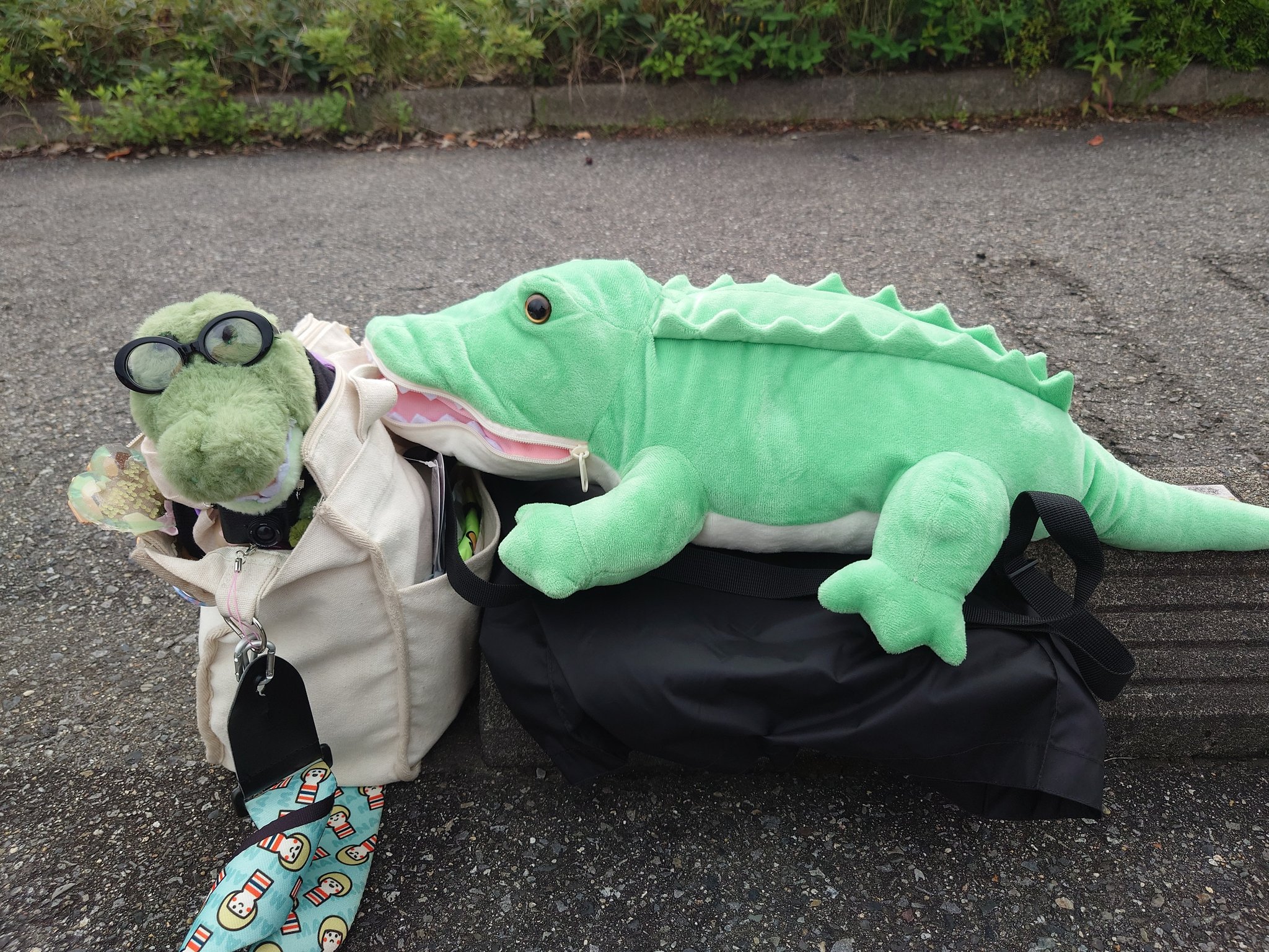 ワニ子ページ おぬ～！☕🐄🚗🚃🐊🐳⚡🌲 on X: 