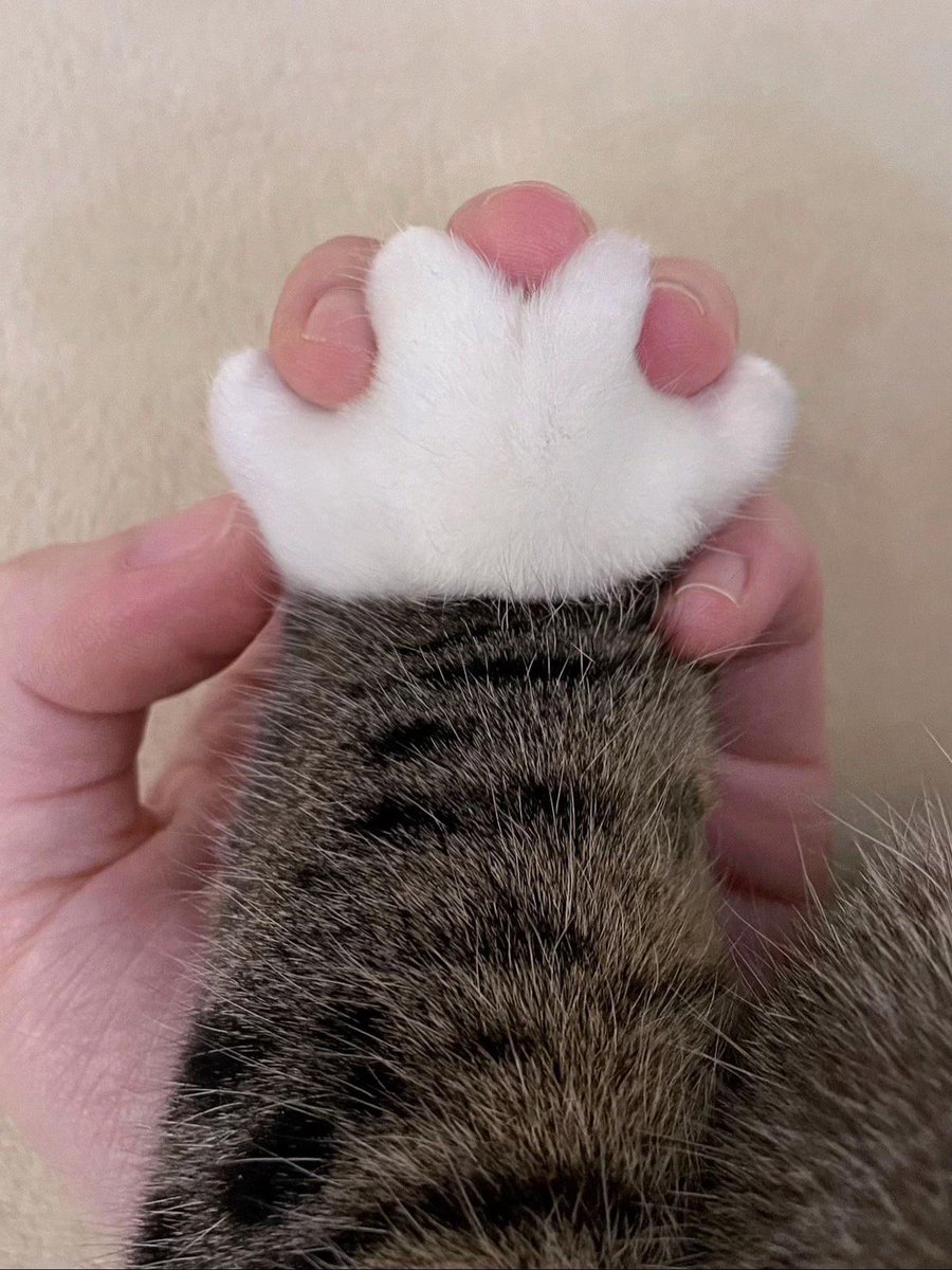 jonjads's tweet photo. มือแพท vs มือหมอเปรม

SO THIS IS LOVE
#พิษรักEP5 https://t.co/UBoG4Et3aP