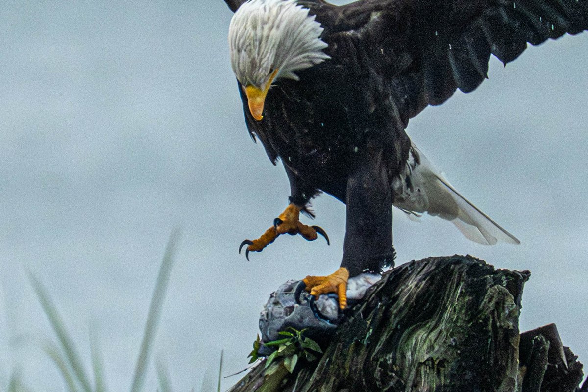 Mark Teasdale ★ tweet media