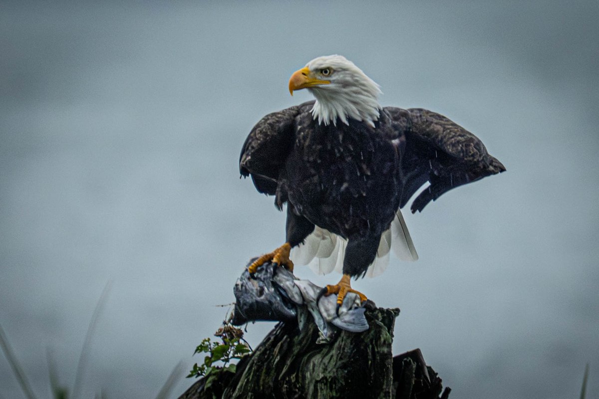 Mark Teasdale ★ tweet media