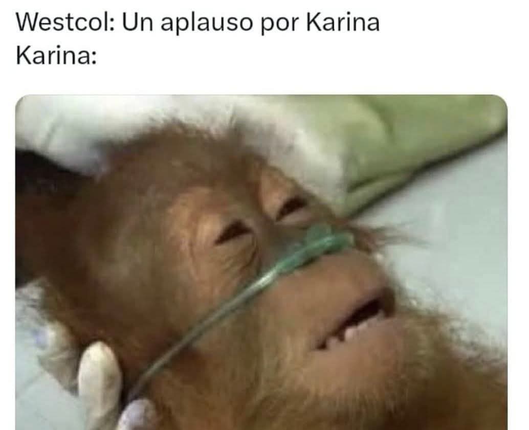 vanets219's tweet image. Jajajajaja no puedo 🤣🤣🤣🤣
#StreamFighters4