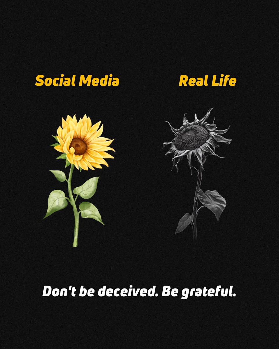 The difference between what people see and what really happens: Social media highlights only the best moments, showing a vibrant illusion, while real life carries all the struggles behind the scenes — far beyond the filters and frames.