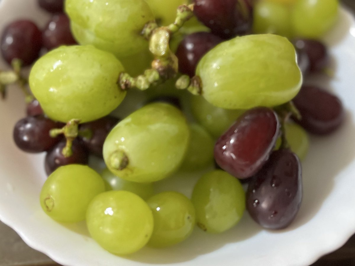 スーパーで売ってる葡萄とは
まるで別物。
自分の知ってるぶどうを超えている。
てか、これ🍇なのか？ってくらい。

#秋本ぶどう園
#茨城県