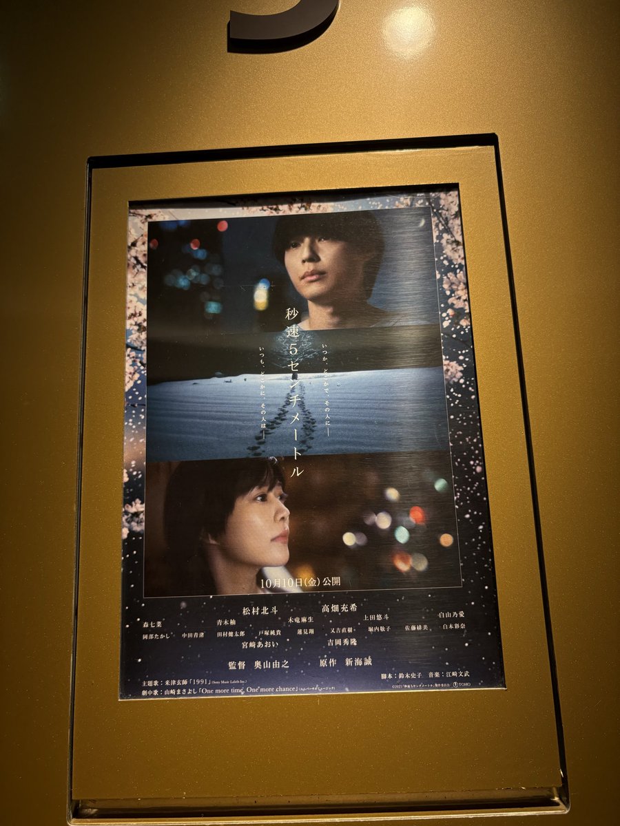 ほんまごめん、秒速5センチメートル、頭かち割れるくらいガチの名作だった。原作の厄介ファンだったけどこれは良すぎる。