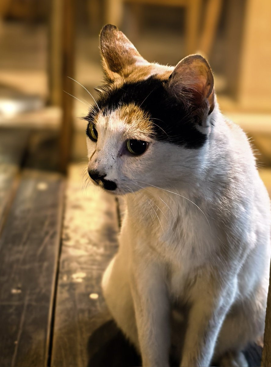 arr_ant's tweet image. Good Morning friends ....