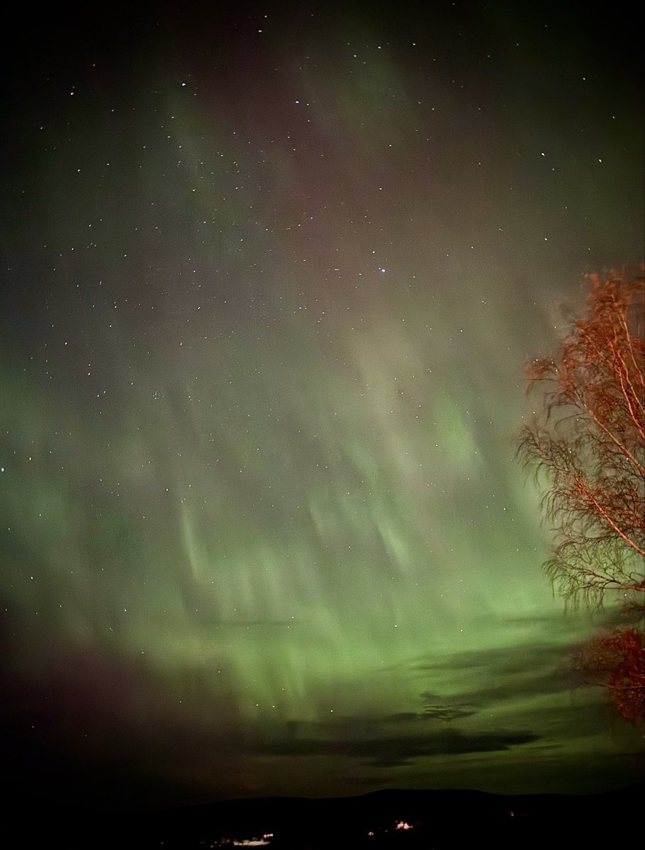 ghedoes's tweet photo. Infinite marvels. #auroraborealis #northernlights #norrland #thenorth https://t.co/xqHqAarl8U