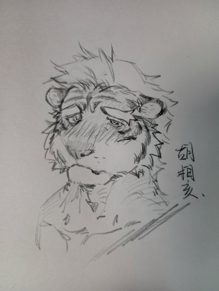 STWisOne's tweet image. 🐅