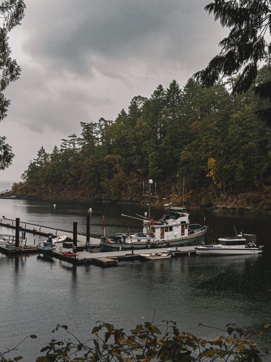 Beautiful day in Victoria, BC.