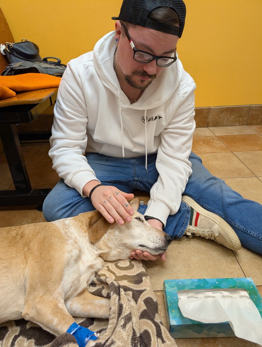 Had to say goodbye to my bestfriend today and it was the worst thing I had to do in a long time hopefully some games can distract me from this pain 😭 rest easy Anne I'm glad you aren't in pain anymore