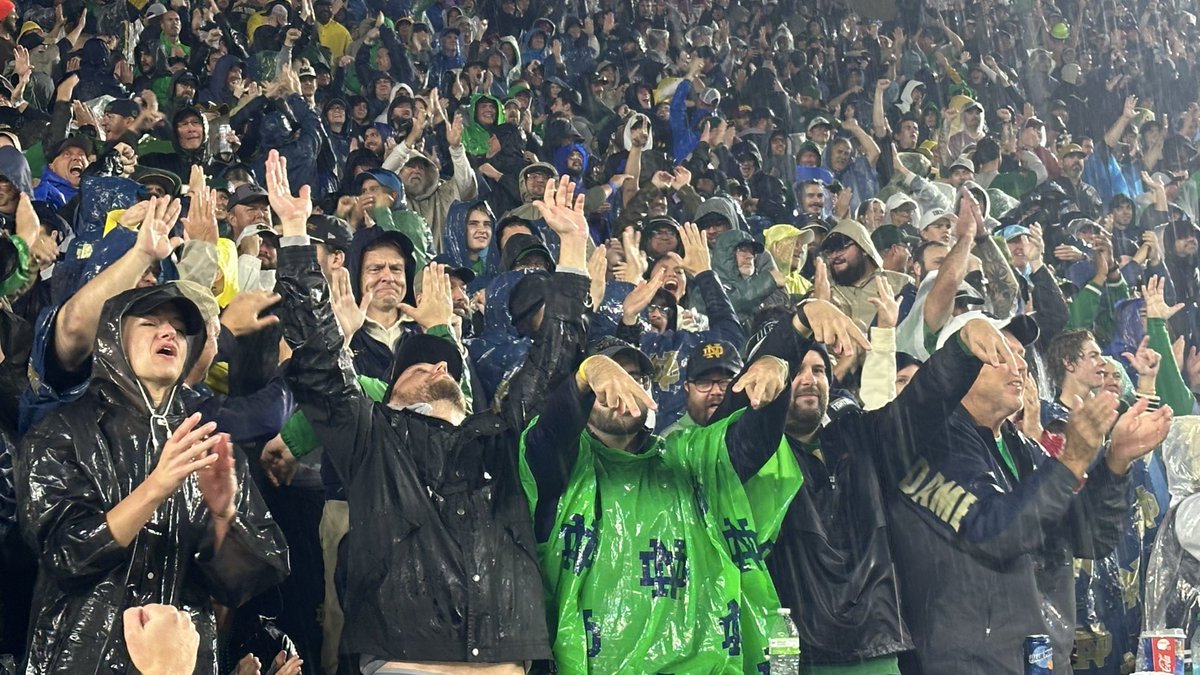 Angelo Di Carlo tweet media