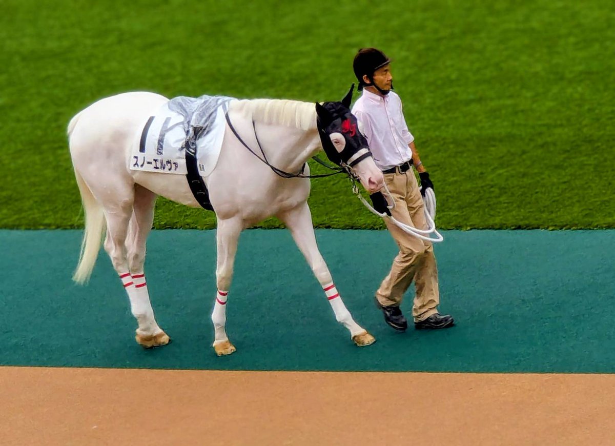 鈴木優馬ページ 競馬専門紙「優馬」 on X