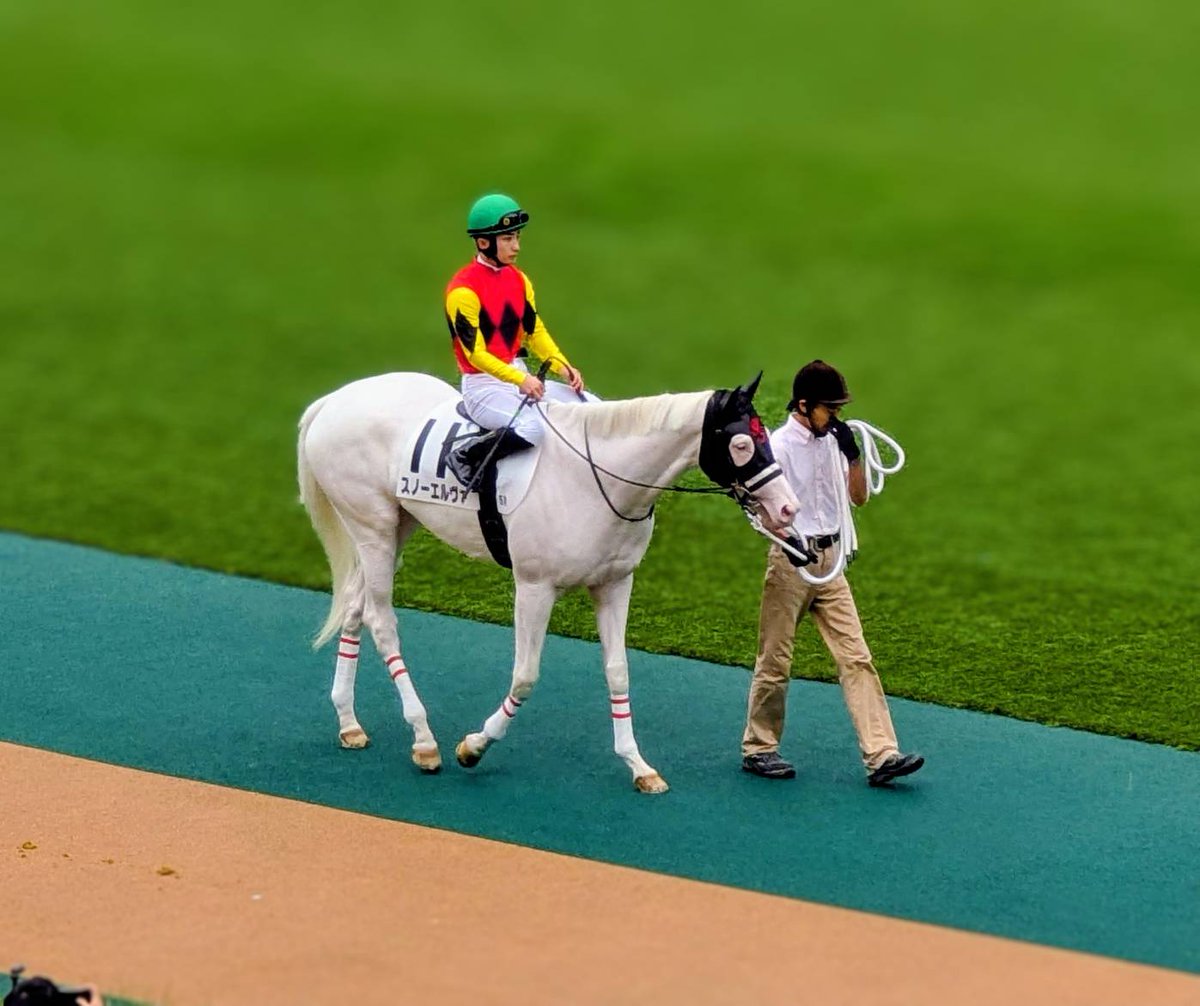 鈴木優馬ページ 競馬専門紙「優馬」 on X