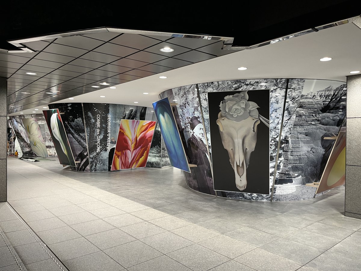 青山のコムデギャルソンのウインドウがジョージア・オキーフになってて