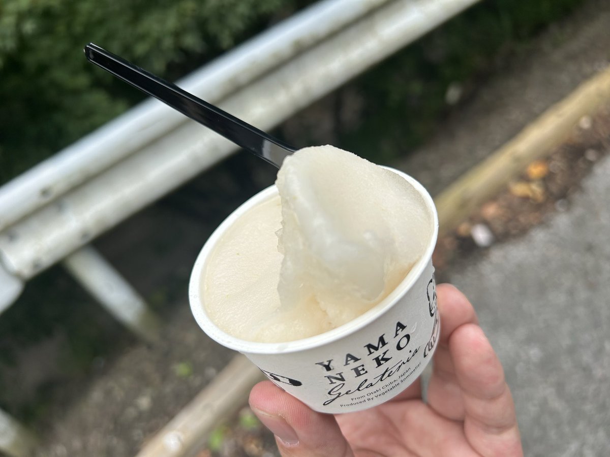 リア友と粟又の滝に来ました
​(๑╹ᆺ╹)✨️
しっかりぬいでﾊﾟｼｬﾘ! Σpω･´)
空気も綺麗で落ち着く…( *´꒫`)

豊水のソルベ！
めちゃめちゃおいしかったー！