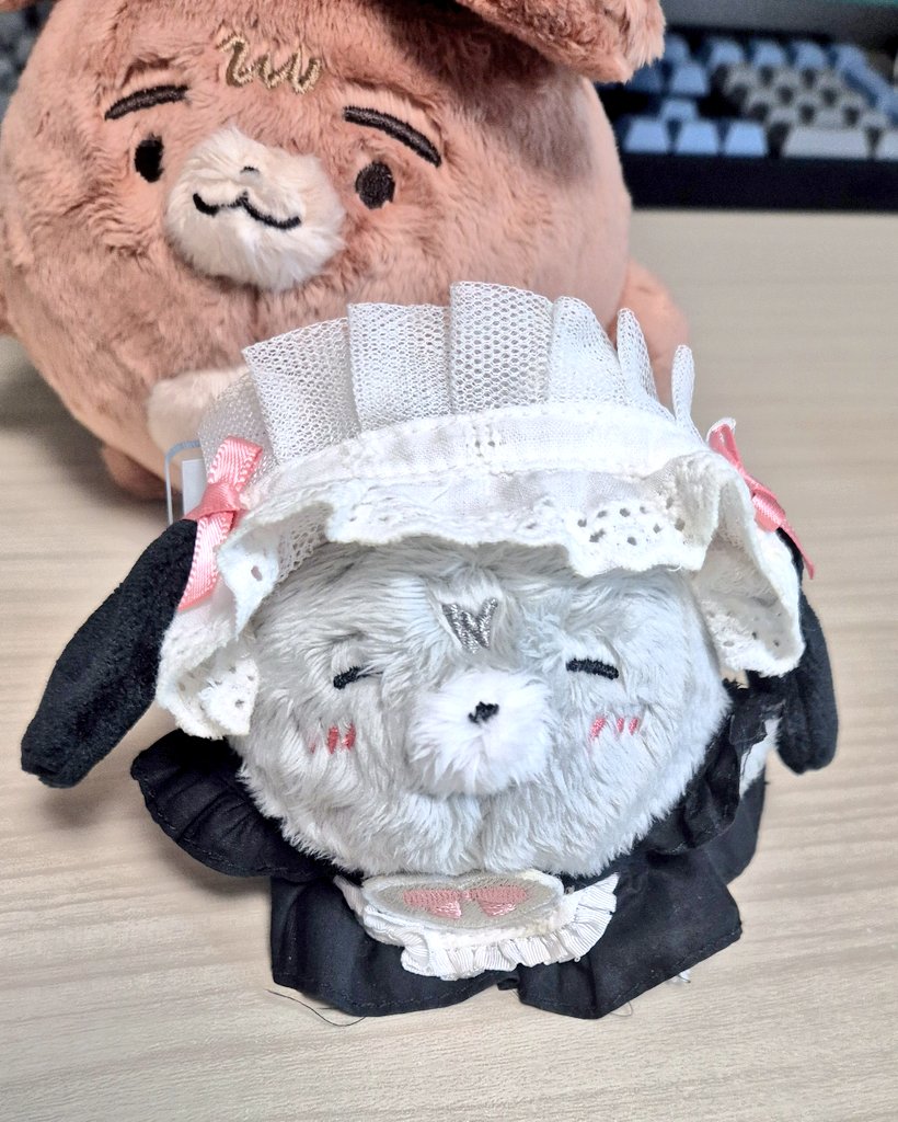 아첼님이 주신 인형옷들 입혀보는데 너무재밌어 크하하학ㅜ