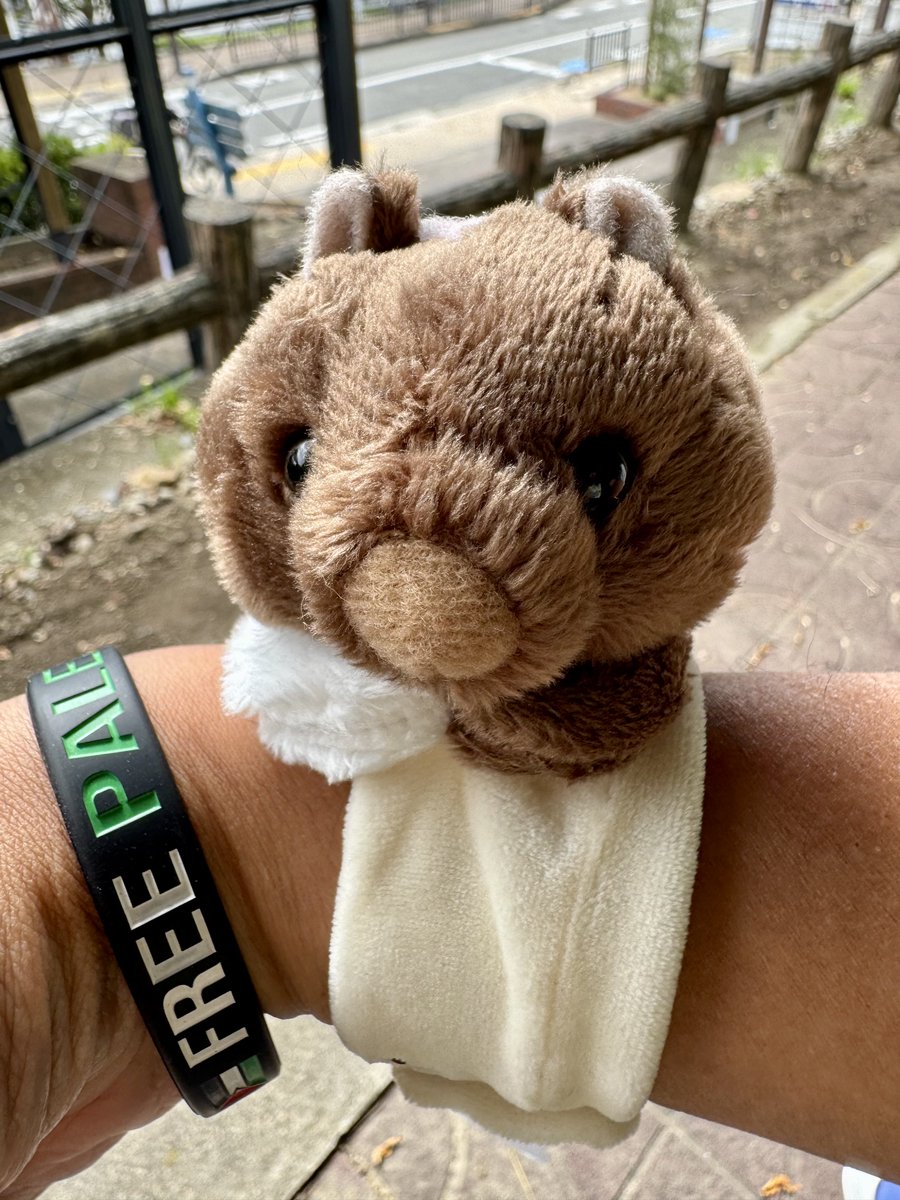 ちくわ🍉 (@akame712) / Posts / X