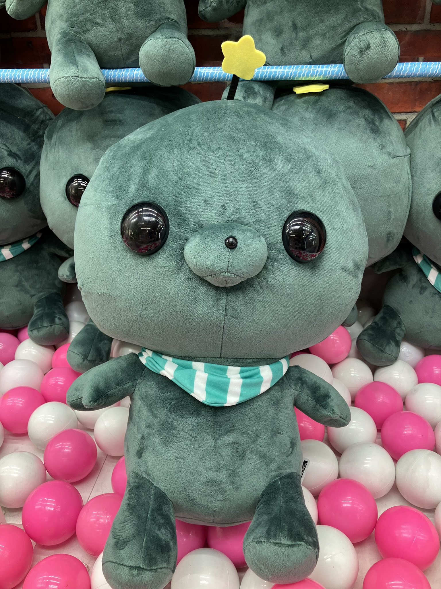 ドラマ下北沢（プライズ専門店） on X: 