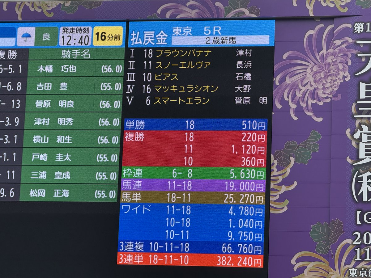 タロイモバナナページ ブラウンバナナ気になってたからワイド買えばよかったな