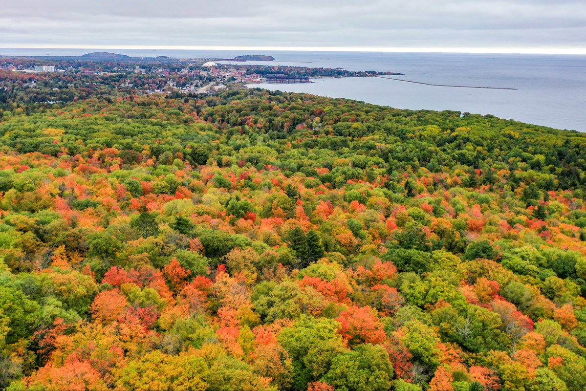 mkvackay's tweet image. A couple of my favorite images taken in da Yoop this week. Couldn’t have picked better timing if I tried 😍 🍁 #miwx