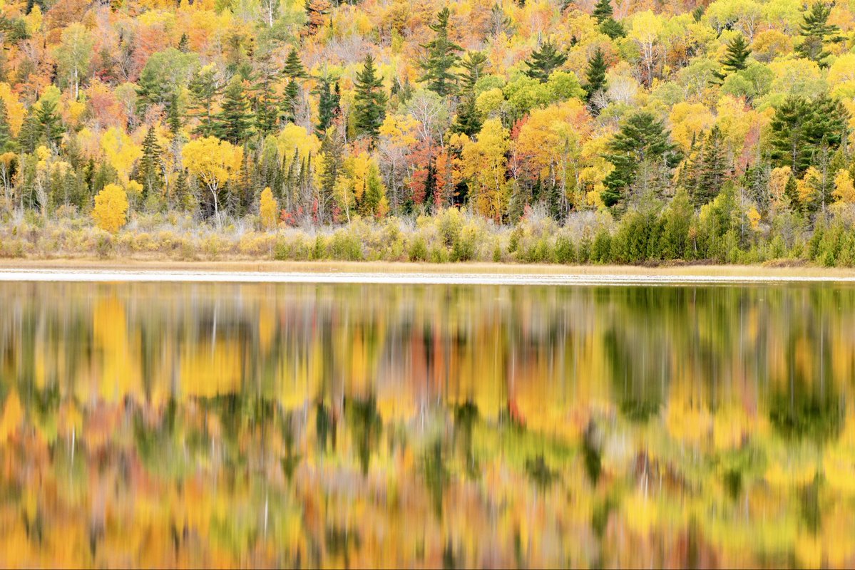 mkvackay's tweet image. A couple of my favorite images taken in da Yoop this week. Couldn’t have picked better timing if I tried 😍 🍁 #miwx
