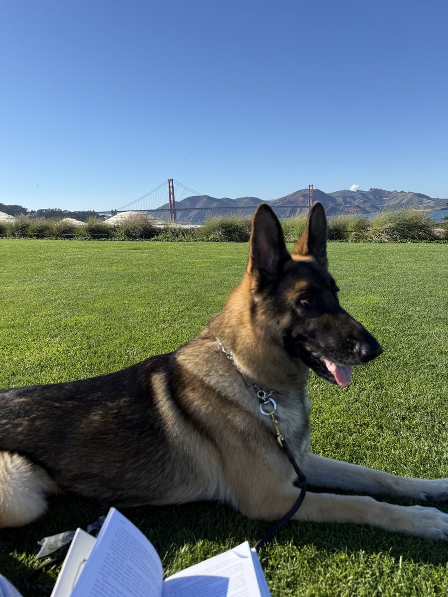 Reading and listening to the same book. Two sensors, one signal. Fine-tuning human hardware in real time