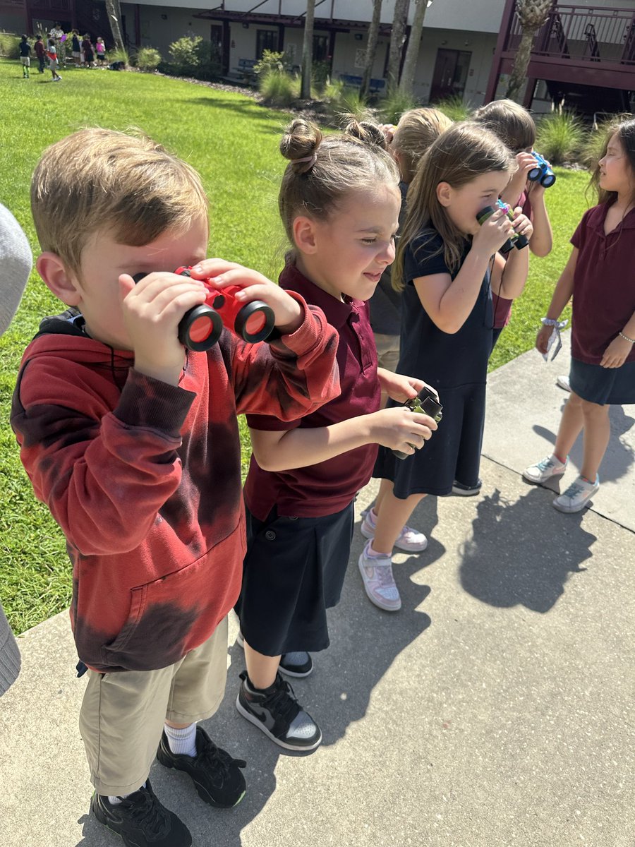We found ourselves investigating and collecting data with all different types of magnifiers 🔎  in 1st grade <a href="/TurnerBartelsK8/">Turner/Bartels K8</a>! <a href="/HCPSElemScience/">HCPSElemScience</a> <a href="/WeAreHAEST/">HAEST</a>