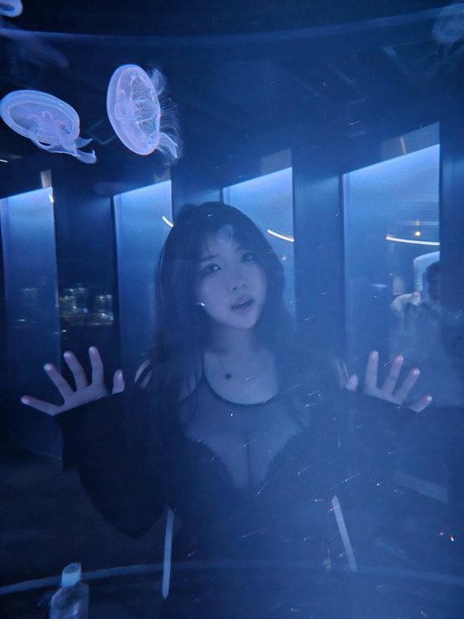 what do women and jellyfish have in common https://t.co/ytl75p7E5H