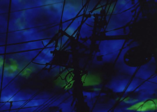 Otaking 🇵🇸 tweet media