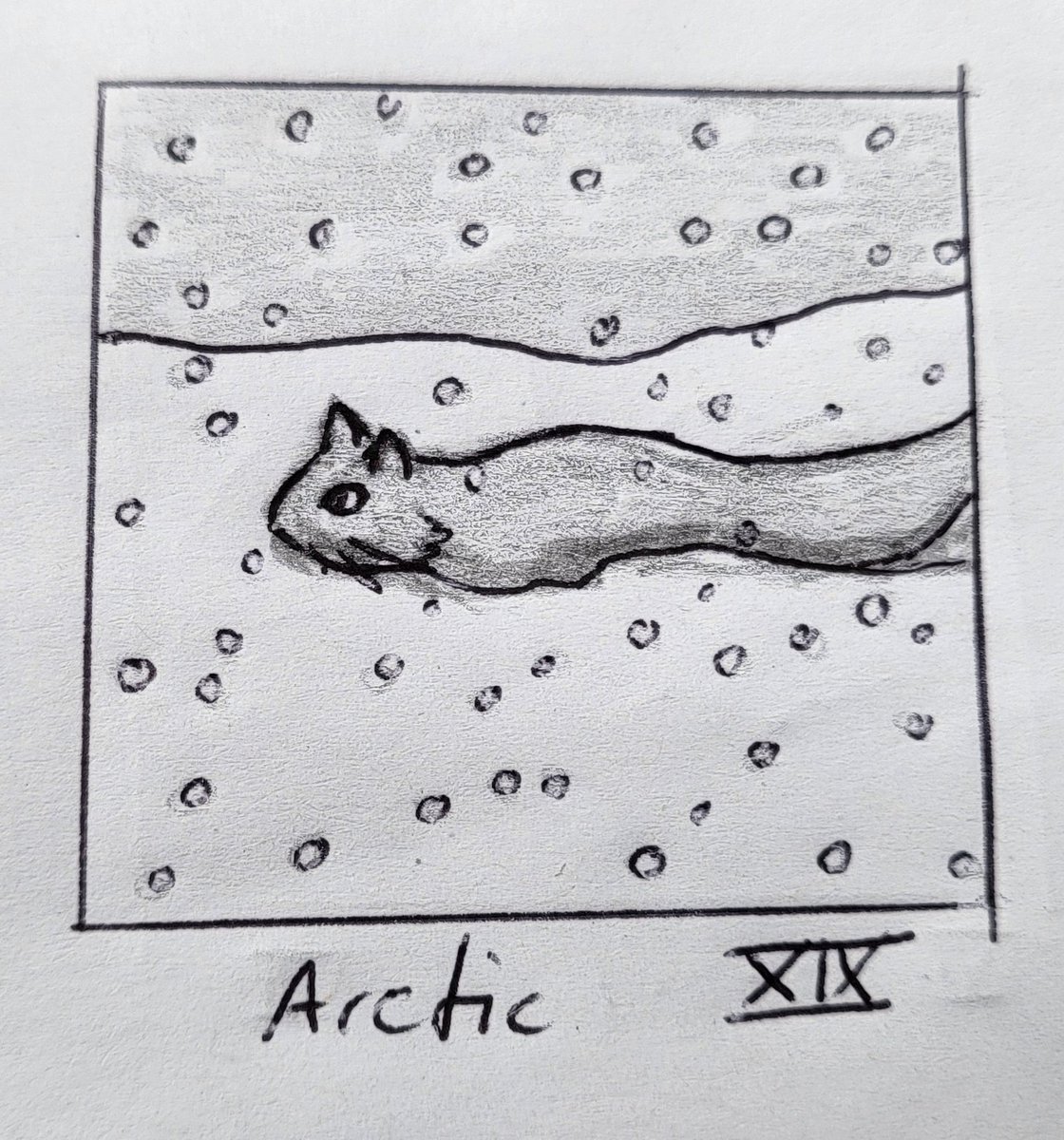 Day XIX: Arctic