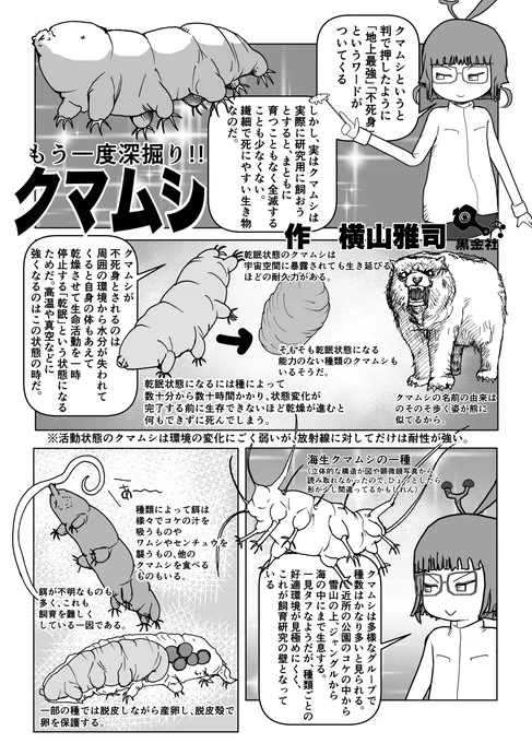 クック先生の動物講座 再掲シリーズ「もう一度深掘り クマムシ」 #クック先生の動物講座 #お絵かき #イラスト 