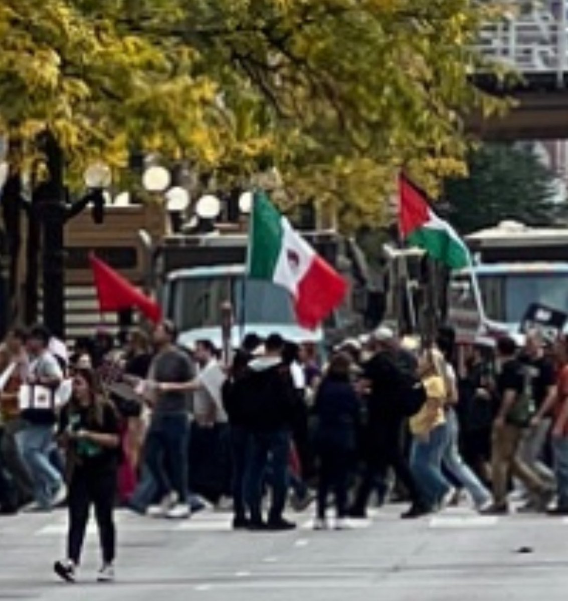 Mexican, Palestinian and communist flags in Chicago at the “No Kings” protest

Great optics guys