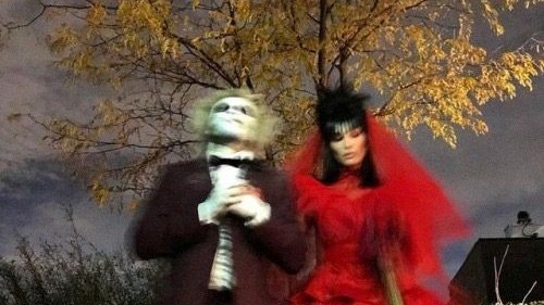 #𝖈ursed𝒄astle 🪲❤️