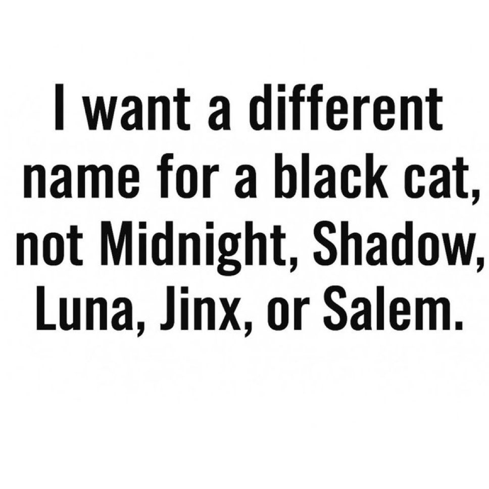 Johnny Midnight ⚡️ tweet media