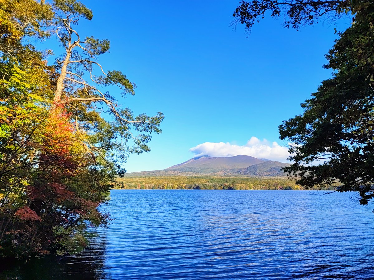 大沼公園観光ガイド (@GuideOnuma) / Posts / X