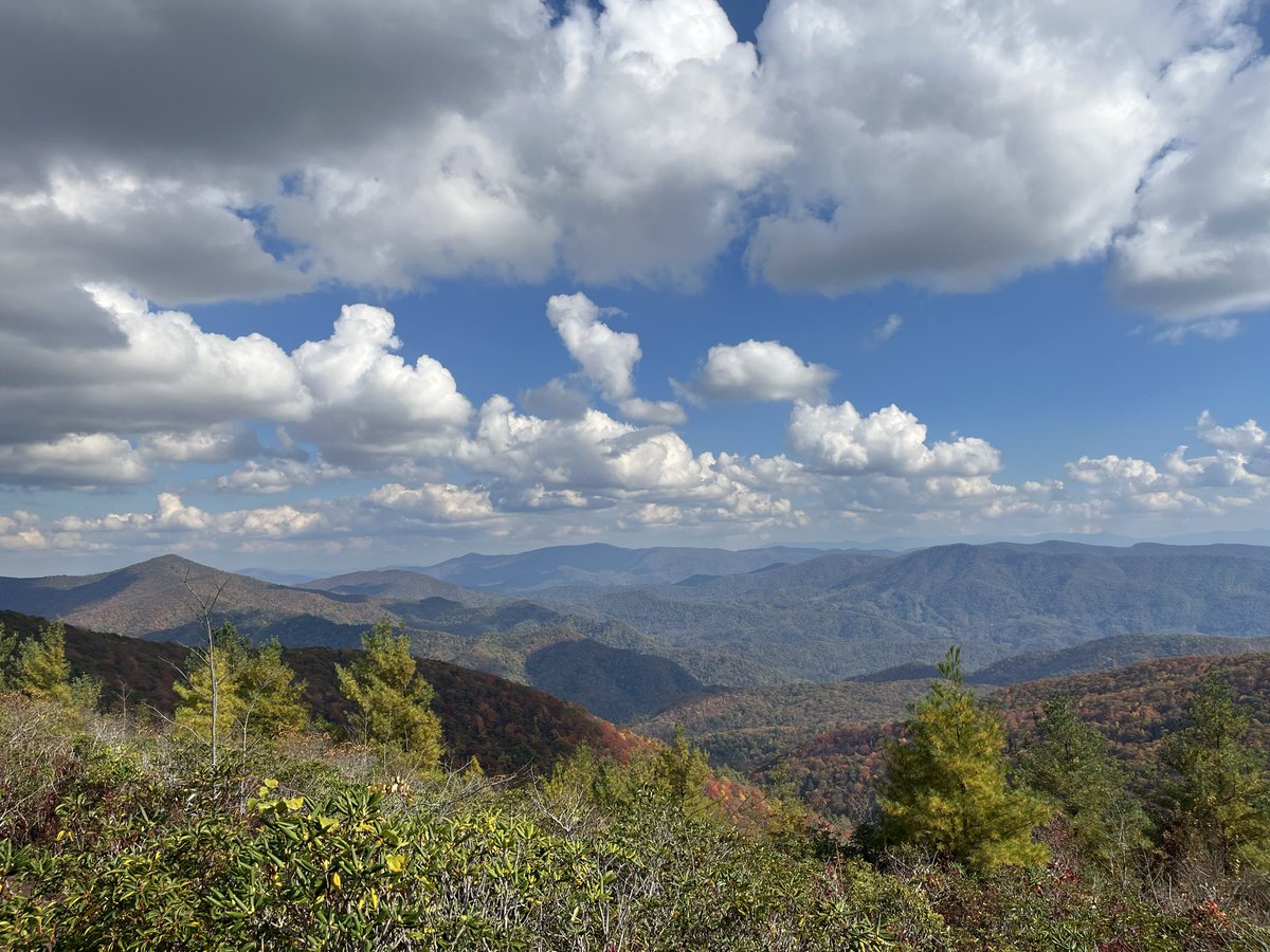 Bill Hartley tweet media