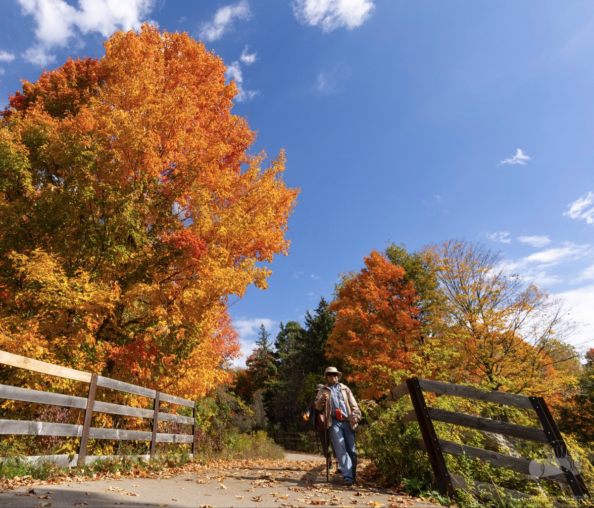 Amazing fall colours on the East Don Trail on the way to Wigmore Park! 🍂🍁🍂🍁

Pictures taken with my <a href="/CanonUSA/">CanonUSA</a> R6 camera and EF 16-35mm f4 L IS USM lens.

#Fall #FallColours #Autumn #AutumnColours #Toronto #EastDonTrail #CityOfTO #Ontario #Canada #Canon #Photography