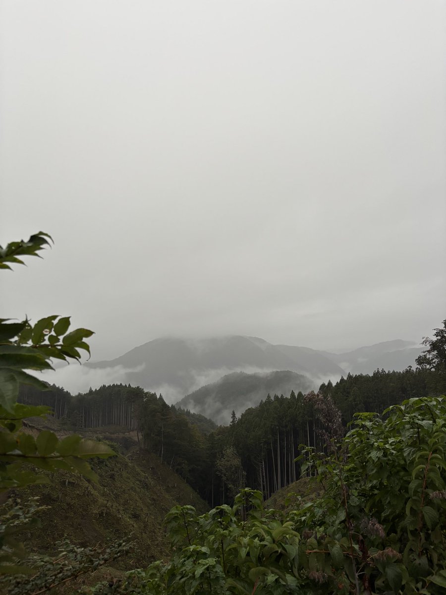 YocheyRbc's tweet image. １時間圏内にある非日常を走る
#サイクリング