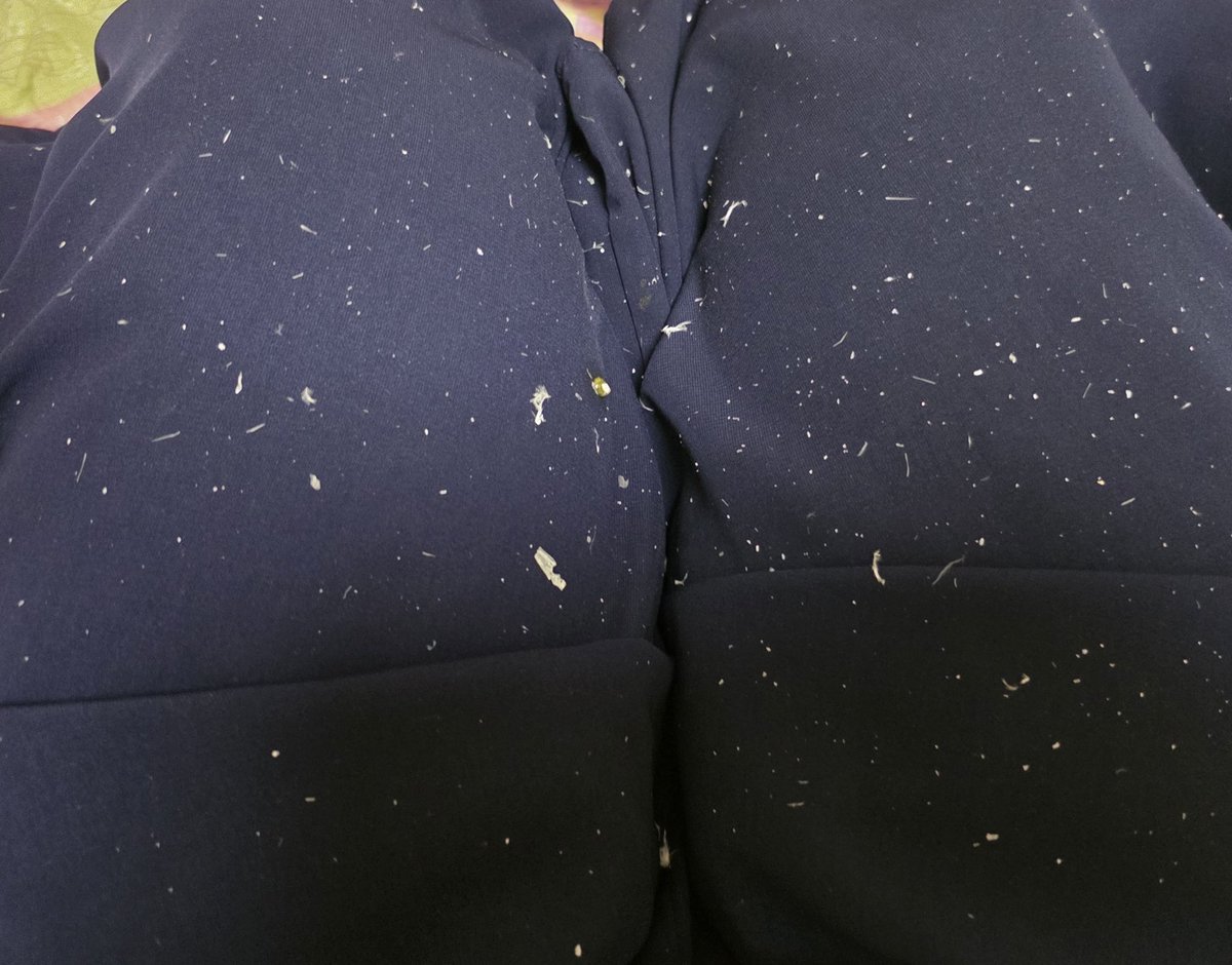 よつば (@yotubasirakaba) / Posts / X