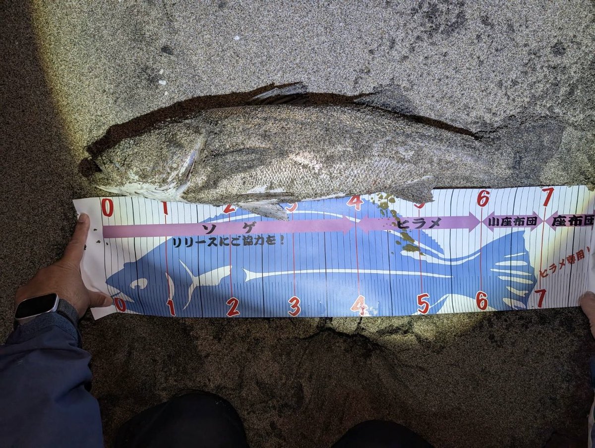 ザブザブからの貴重な生命感。
即リリース。
アザッス！

仲間達とワイワイ釣行。
仙台サーフありがとうございました。