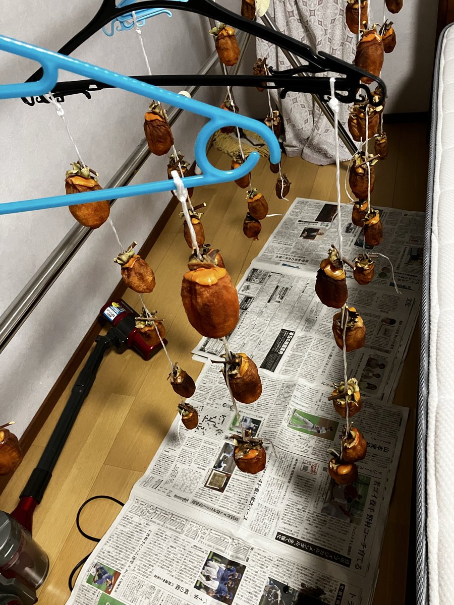 #はんざき畑
「メロディー」のカバーとっても良かったです❤️ྀི
高校生との「地球へ」最高です🩵ྀི
「深層」はほんと優しい曲❤️‍🩹
金木犀は落ちてしまったけれど、季節を楽しみながら過ごしています😊