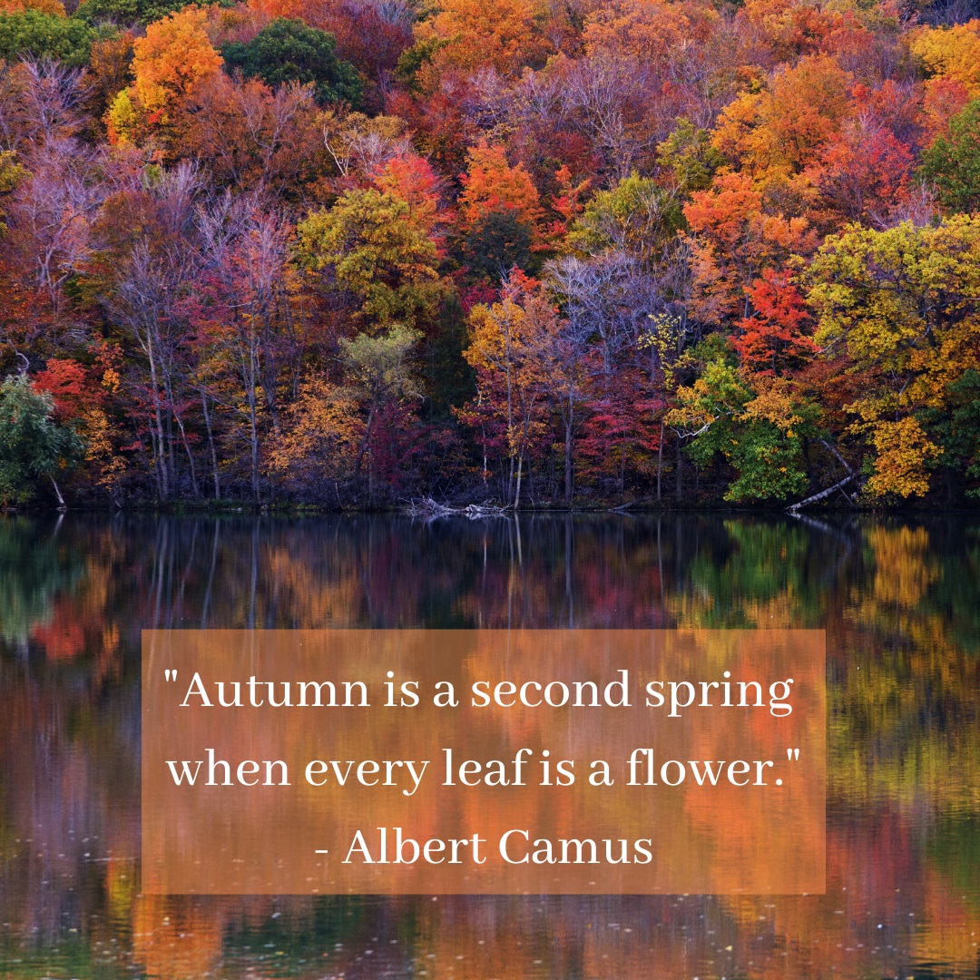mswatchandlearn's tweet photo. A time of change &amp; reflection. Where do you enjoy the vibrant colors of Autumn? https://t.co/Fg9bRzKCt0
