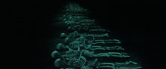 LaNoe 🎬🫀 tweet media